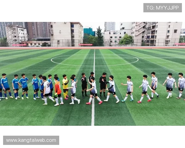 绿茵逐梦激情燃烧探索足球世界背后的荣耀与挑战